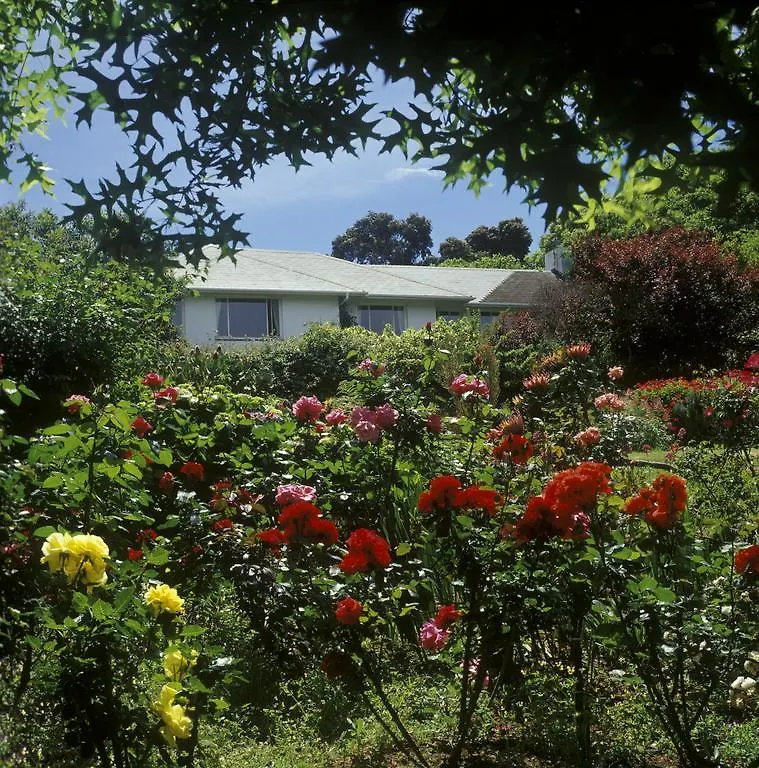 Klein Bosheuwel Guest House Cape Town
